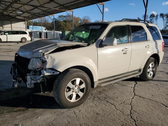 2011 Ford Escape Limited