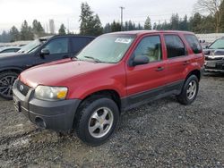 Ford Escape Vehiculos salvage en venta: 2006 Ford Escape XLT