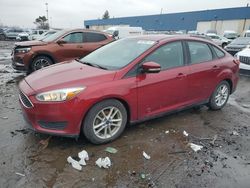 Ford salvage cars for sale: 2016 Ford Focus SE