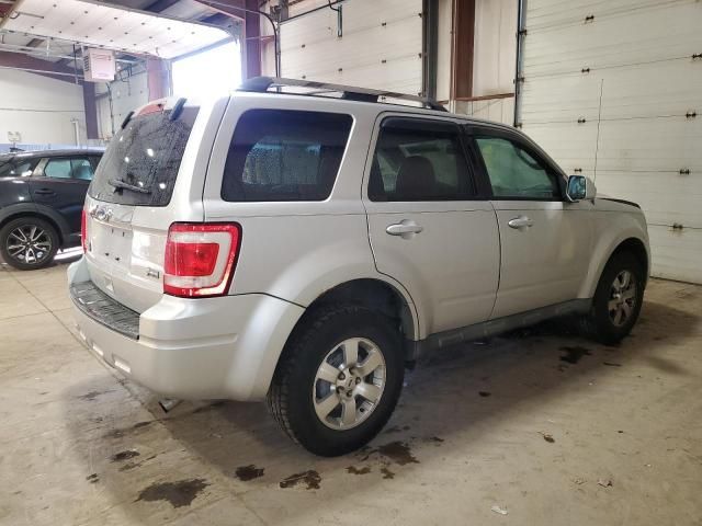 2010 Ford Escape Limited