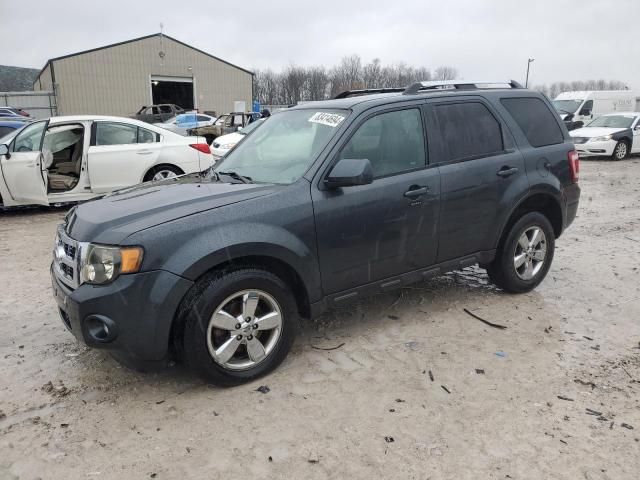 2009 Ford Escape Limited