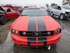 2006 Ford Mustang