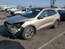 2020 Ford Escape SEL en venta en Van Nuys, CA