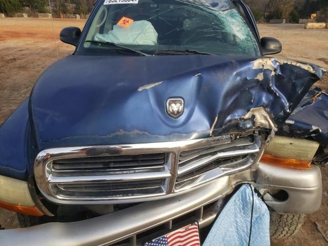 2002 Dodge Dakota Quad SLT