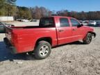 2006 Dodge Dakota Quattro