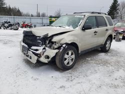 Salvage cars for sale from Copart Ontario Auction, ON: 2010 Ford Escape XLT