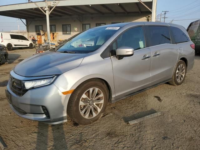 2022 Honda Odyssey EXL