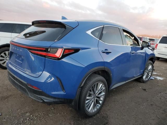 2025 Lexus NX 350H Base