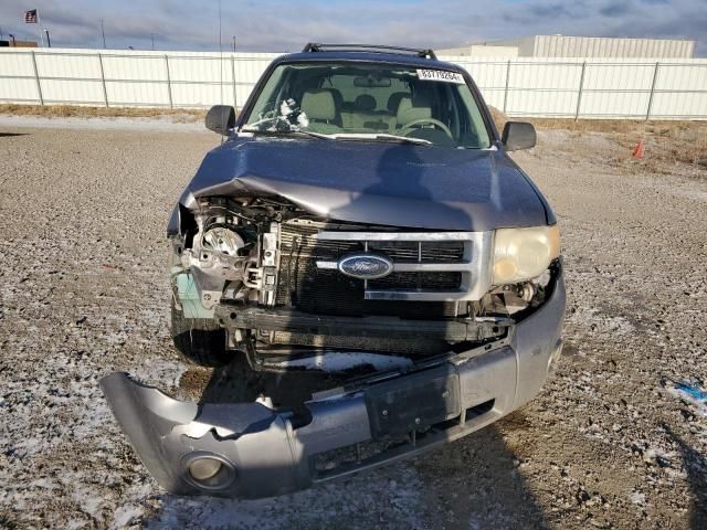 2008 Ford Escape XLT