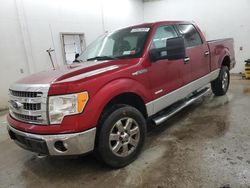 2013 Ford F150 Supercrew en venta en Madisonville, TN