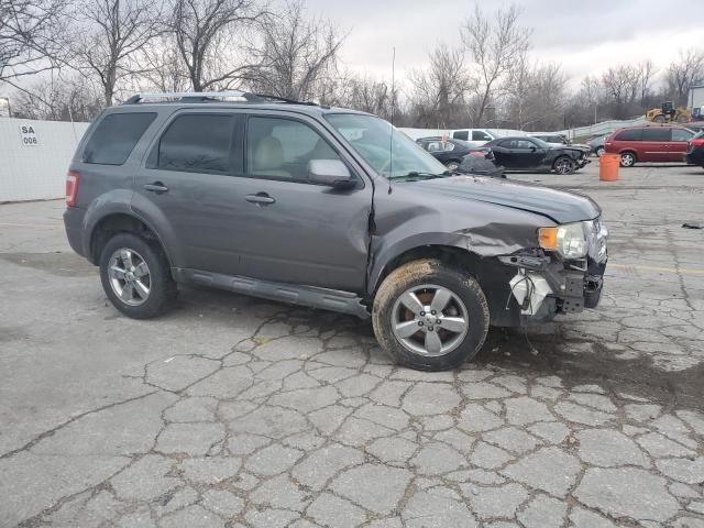 2009 Ford Escape Limited