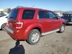 2010 Ford Escape XLS