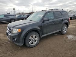 Ford salvage cars for sale: 2012 Ford Escape Limited