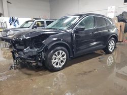 Salvage cars for sale at Elgin, IL auction: 2024 Ford Escape Active