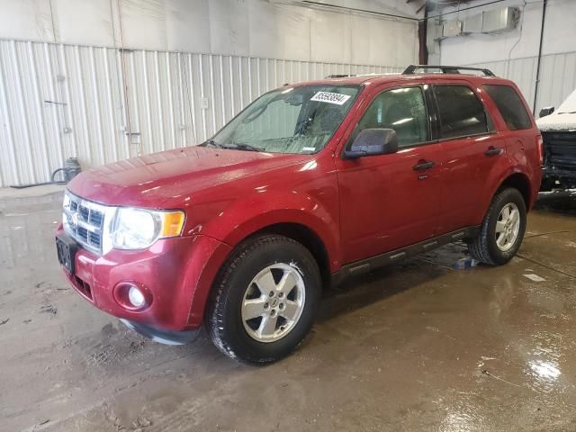 2010 Ford Escape XLT