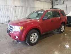 2010 Ford Escape XLT en venta en Franklin, WI