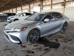 Salvage cars for sale at Phoenix, AZ auction: 2023 Toyota Camry SE Night Shade