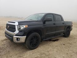 2021 Toyota Tundra Crewmax SR5 en venta en New Braunfels, TX