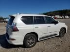 2019 Lexus GX 460