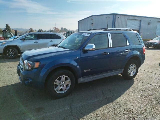 2008 Ford Escape HEV