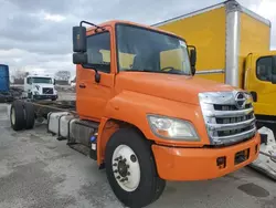 Hino 258/268 salvage cars for sale: 2013 Hino 258 268