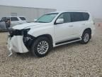 2019 Lexus GX 460