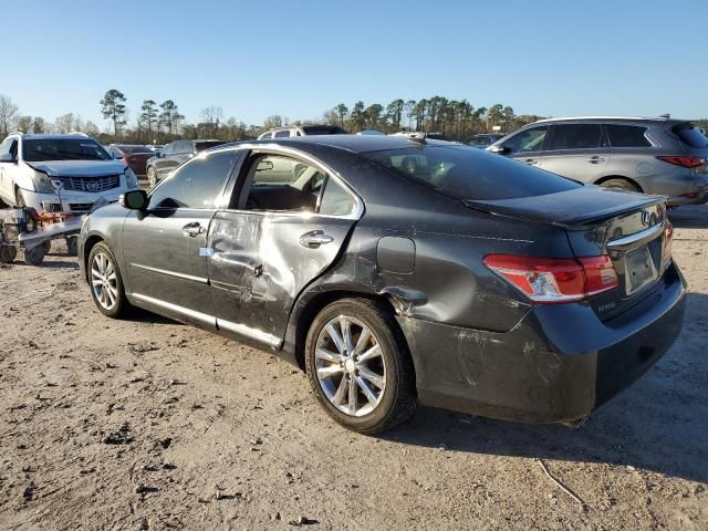 2011 Lexus ES 350