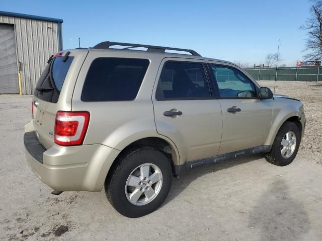 2010 Ford Escape XLT