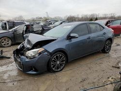 2015 Toyota Corolla L en venta en Louisville, KY