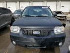 2005 Ford Escape Limited