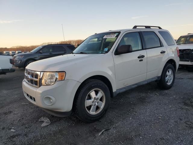 2011 Ford Escape XLT