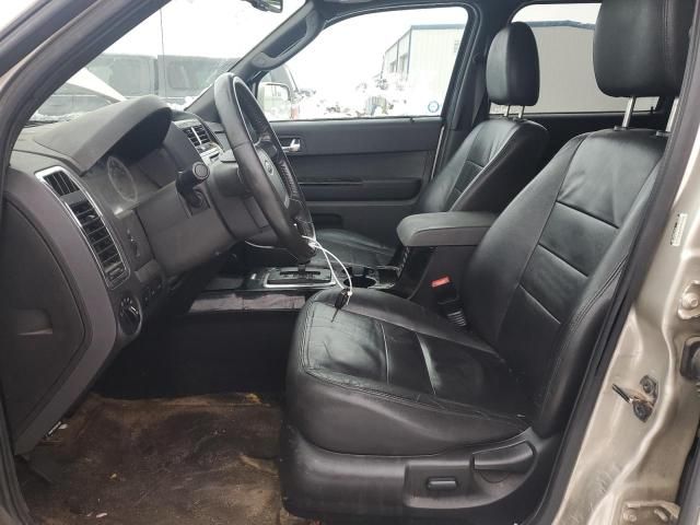 2010 Ford Escape Limited