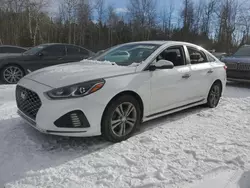 2019 Hyundai Sonata Limited en venta en Cookstown, ON