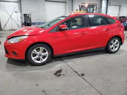 Salvage cars for sale at Ham Lake, MN auction: 2014 Ford Focus SE