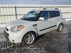 2011 KIA Soul + en venta en Ottawa, ON