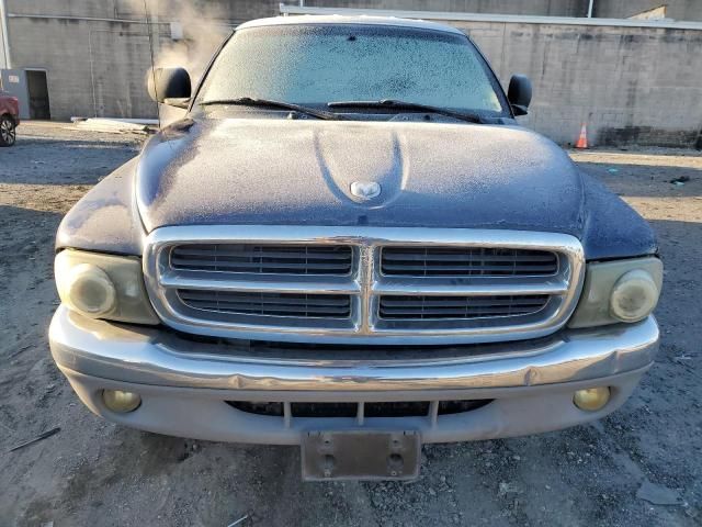 2000 Dodge Dakota Quattro