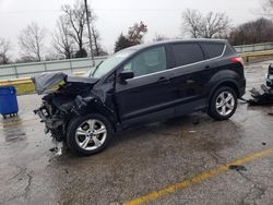 Salvage cars for sale at Bridgeton, MO auction: 2013 Ford Escape SE