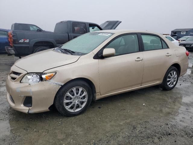 2011 Toyota Corolla Base