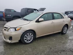 Toyota salvage cars for sale: 2011 Toyota Corolla Base