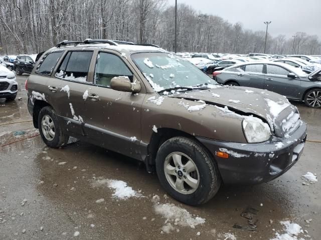 2005 Hyundai Santa FE GLS