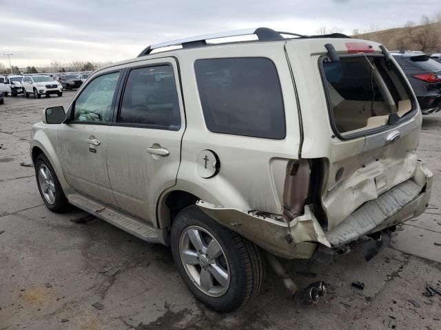 2010 Ford Escape Limited