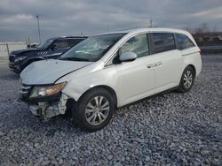 Salvage cars for sale from Copart Lawrenceburg, KY: 2014 Honda Odyssey EXL