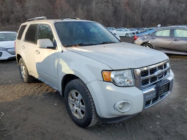 2009 Ford Escape Limited