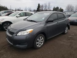 Salvage cars for sale at Bowmanville, ON auction: 2011 Toyota Corolla Matrix S