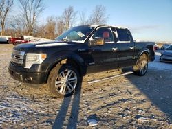 Ford salvage cars for sale: 2013 Ford F150 Supercrew