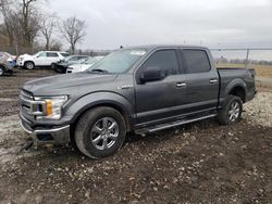 Salvage cars for sale from Copart Cicero, IN: 2019 Ford F150 Supercrew