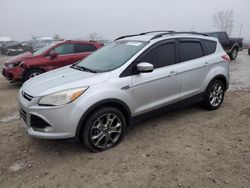 Ford Escape sel salvage cars for sale: 2013 Ford Escape SEL