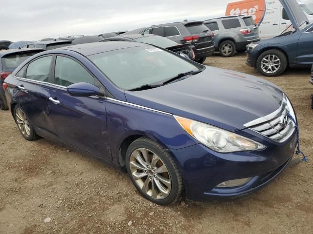 2013 Hyundai Sonata SE