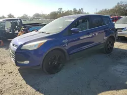 Salvage cars for sale at Riverview, FL auction: 2015 Ford Escape SE