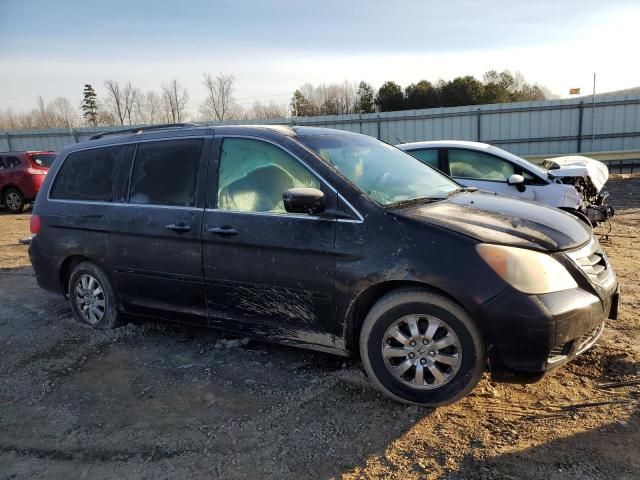 2010 Honda Odyssey EXL